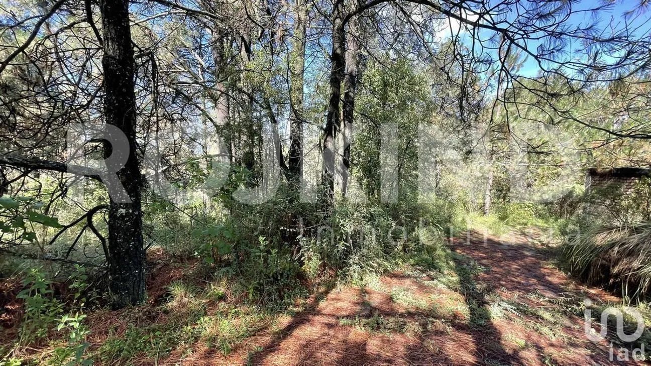 Terreno en Venta en Salazar, Lerma, Estado de México | NEX-281247 | iad México | Foto 38 de 50