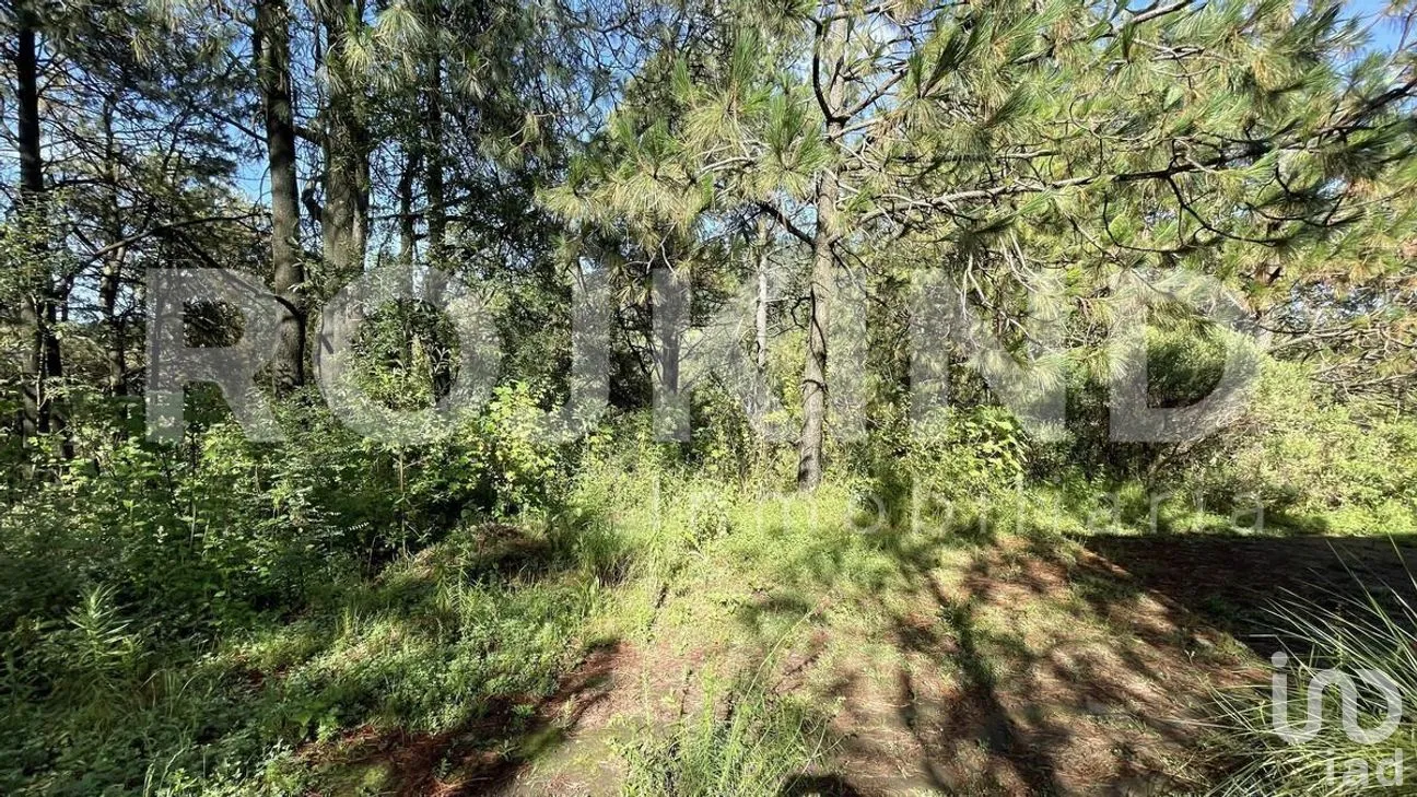Terreno en Venta en Salazar, Lerma, Estado de México | NEX-281247 | iad México | Foto 39 de 50
