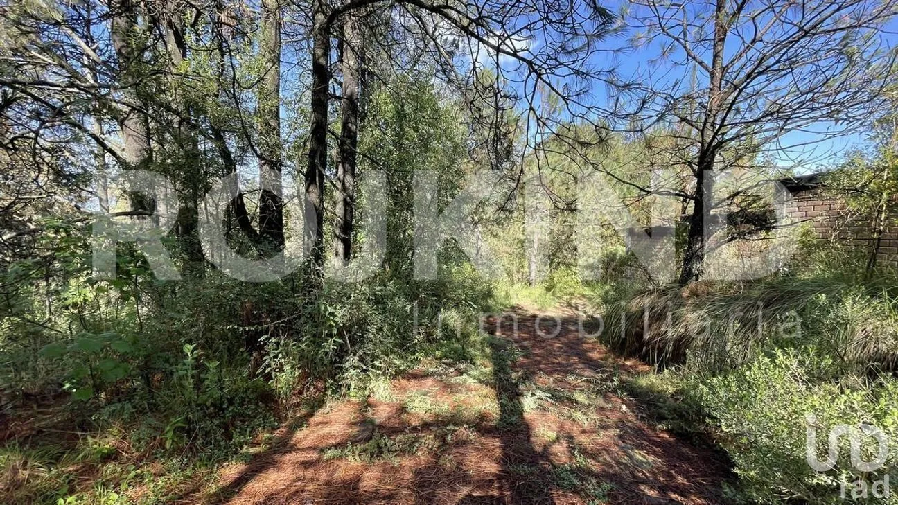 Terreno en Venta en Salazar, Lerma, Estado de México | NEX-281247 | iad México | Foto 40 de 50