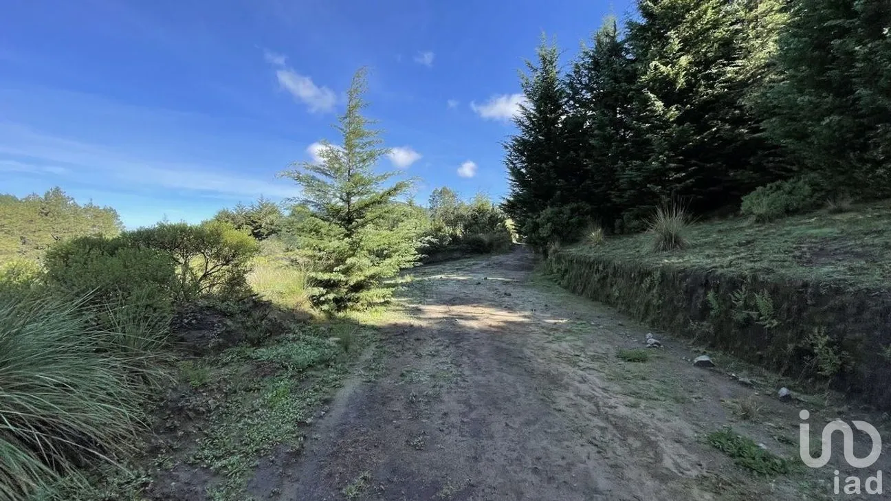 Terreno en Venta en Salazar, Lerma, Estado de México | NEX-281247 | iad México | Foto 5 de 50