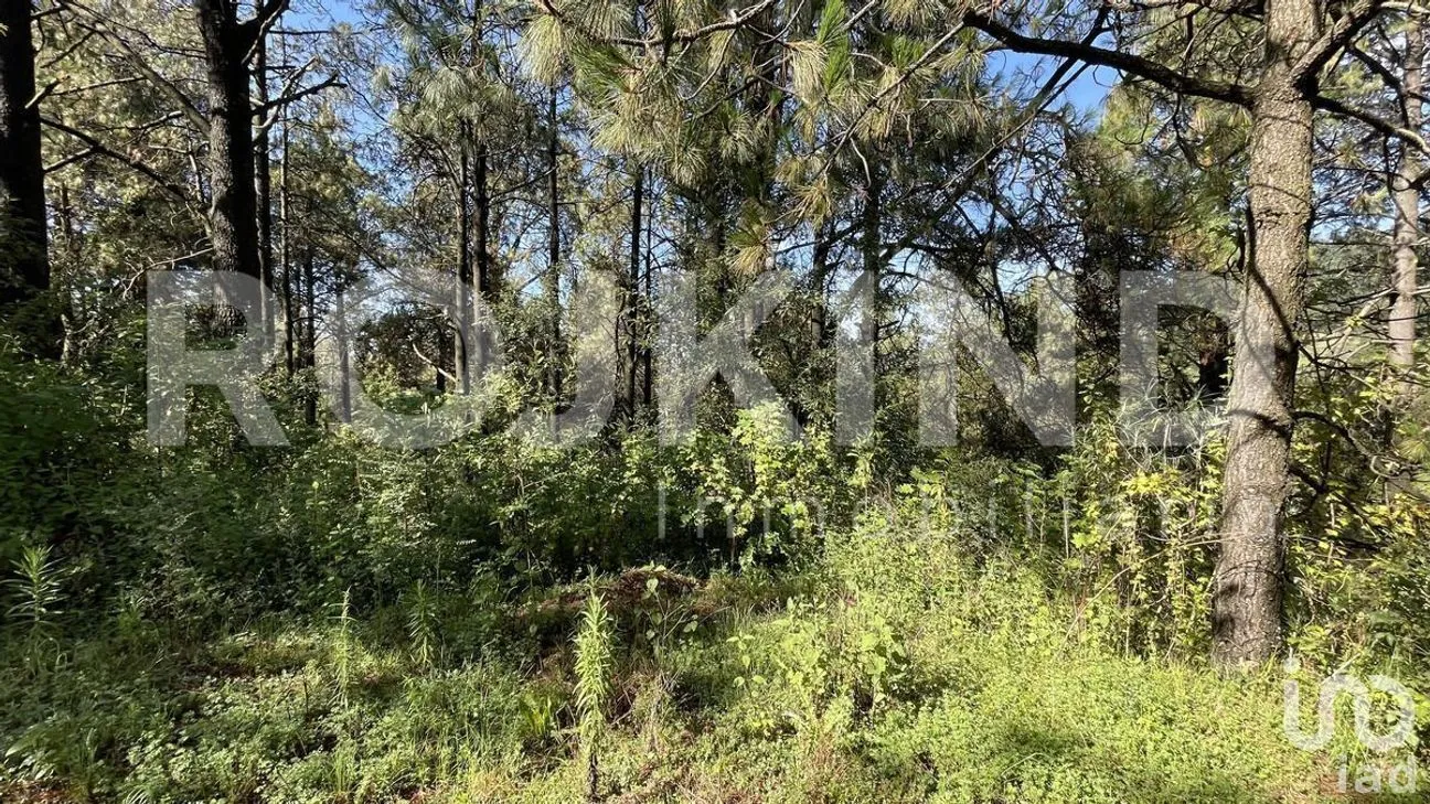 Terreno en Venta en Salazar, Lerma, Estado de México | NEX-281247 | iad México | Foto 41 de 50