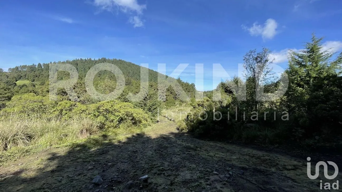 Terreno en Venta en Salazar, Lerma, Estado de México | NEX-281247 | iad México | Foto 42 de 50