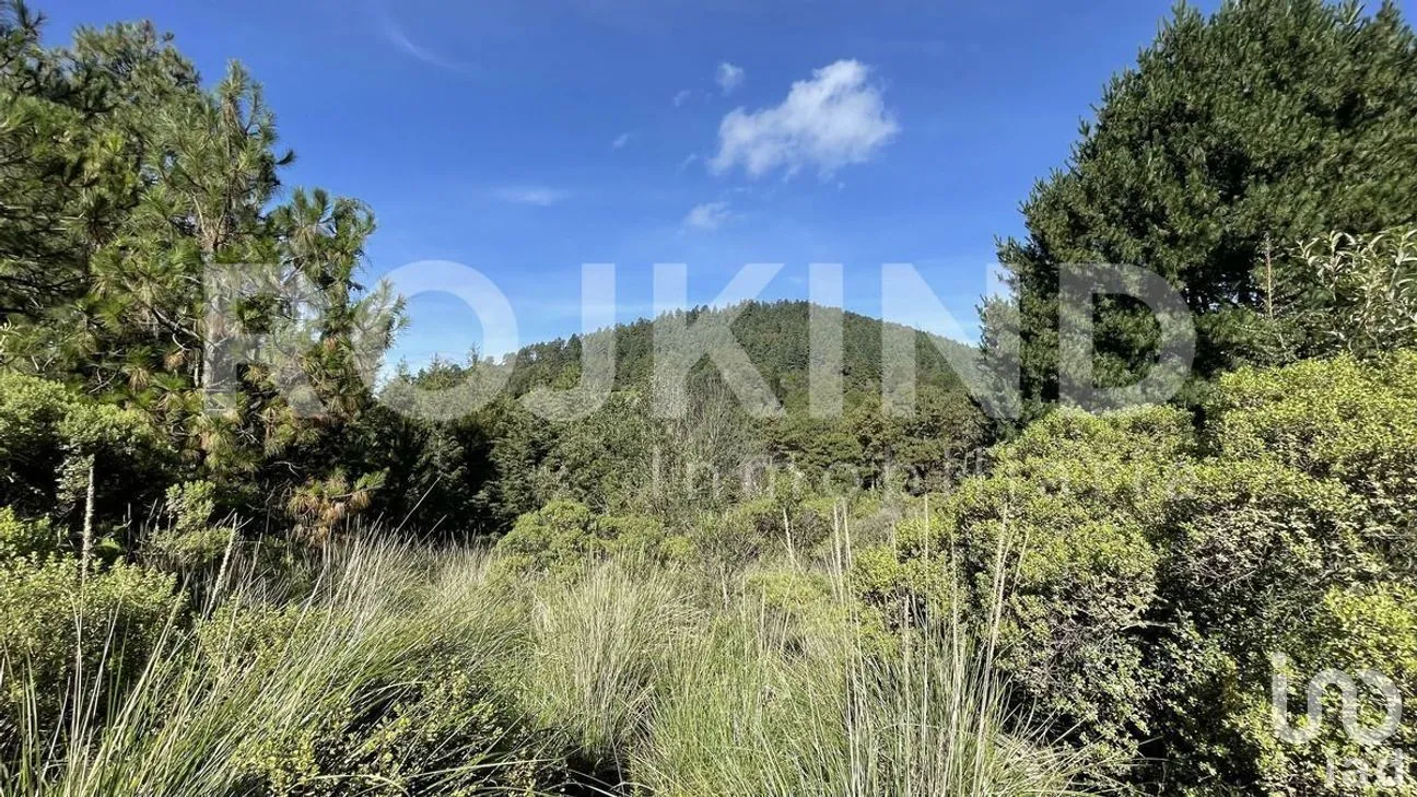 Terreno en Venta en Salazar, Lerma, Estado de México | NEX-281247 | iad México | Foto 43 de 50