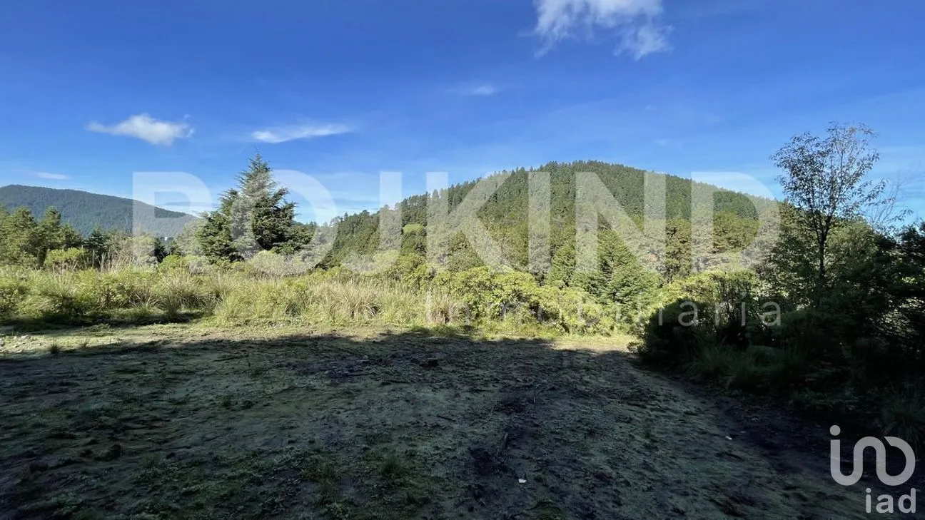 Terreno en Venta en Salazar, Lerma, Estado de México | NEX-281247 | iad México | Foto 44 de 50