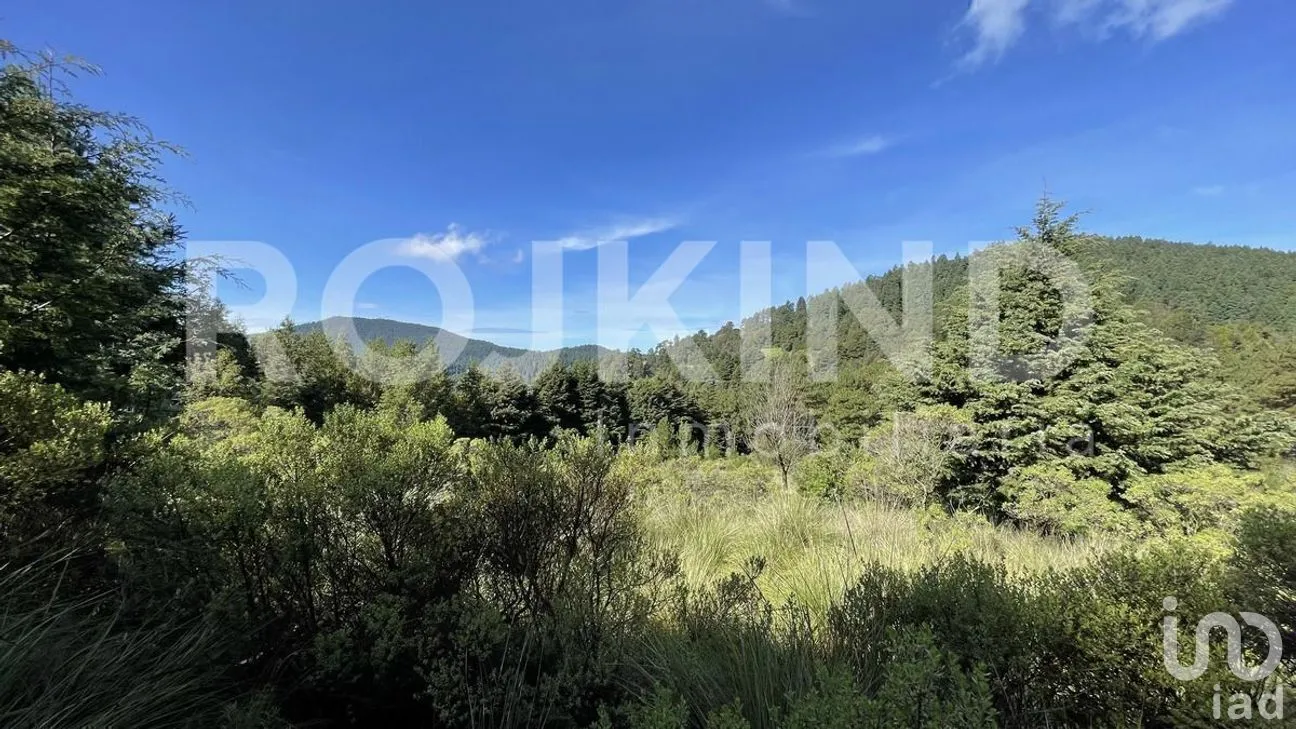Terreno en Venta en Salazar, Lerma, Estado de México | NEX-281247 | iad México | Foto 45 de 50