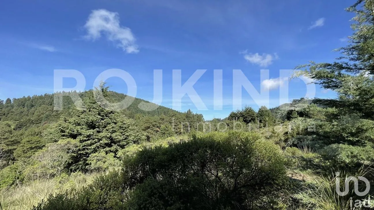 Terreno en Venta en Salazar, Lerma, Estado de México | NEX-281247 | iad México | Foto 46 de 50