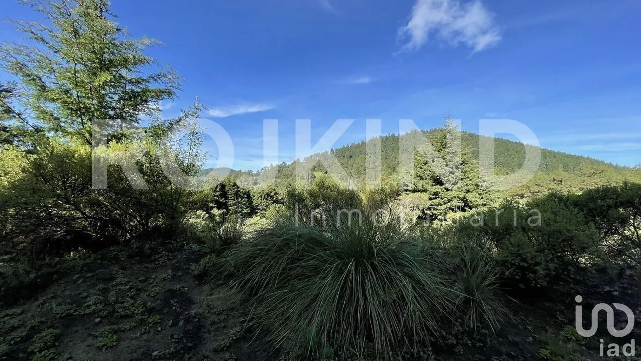 Terreno en Venta en Salazar, Lerma, Estado de México | NEX-281247 | iad México | Foto 47 de 50