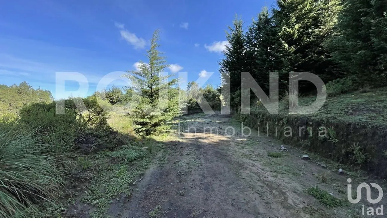 Terreno en Venta en Salazar, Lerma, Estado de México | NEX-281247 | iad México | Foto 48 de 50
