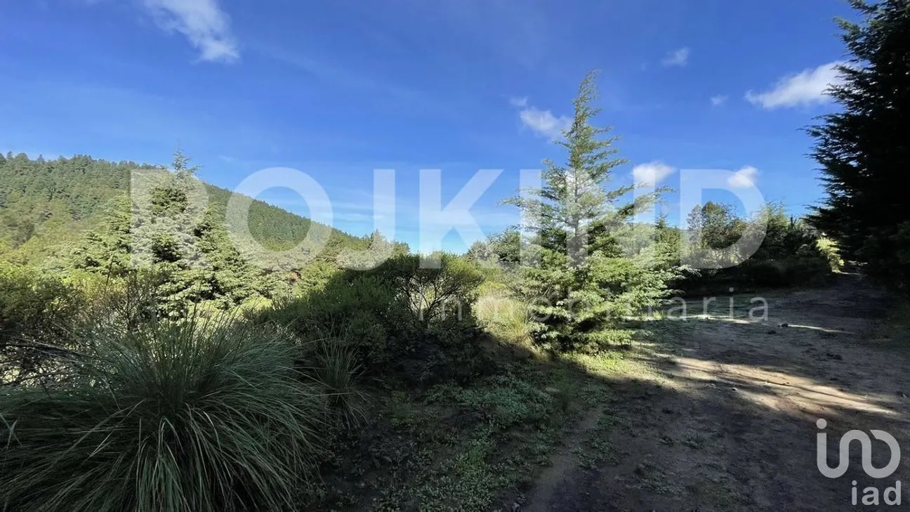 Terreno en Venta en Salazar, Lerma, Estado de México | NEX-281247 | iad México | Foto 49 de 50