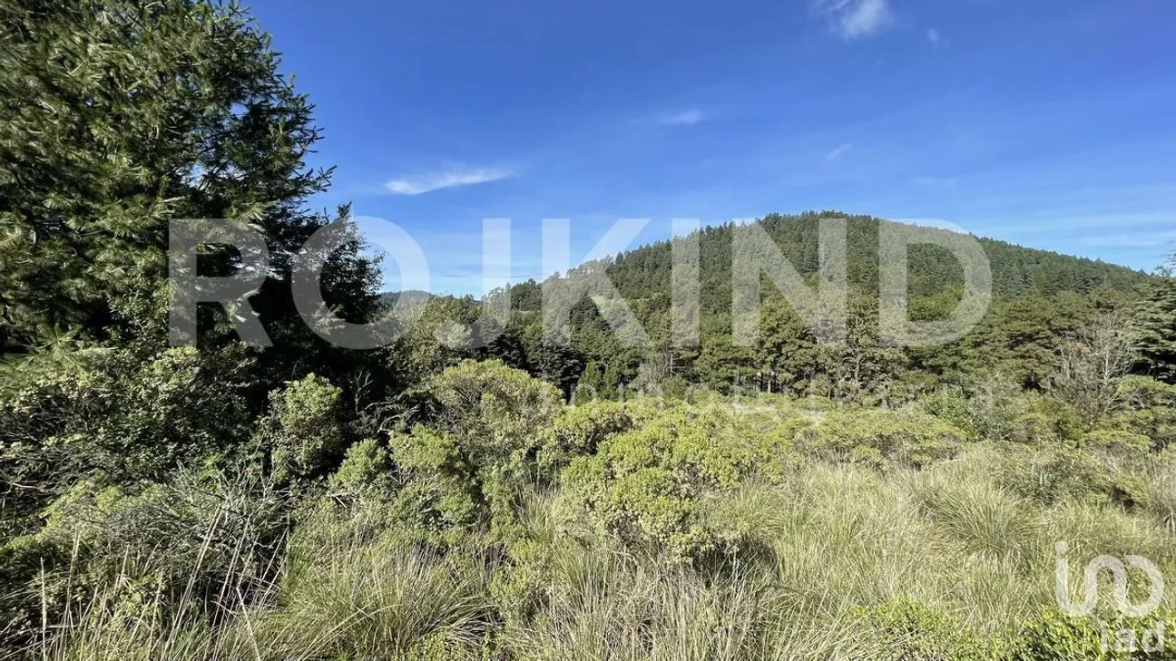Terreno en Venta en Salazar, Lerma, Estado de México | NEX-281247 | iad México | Foto 50 de 50