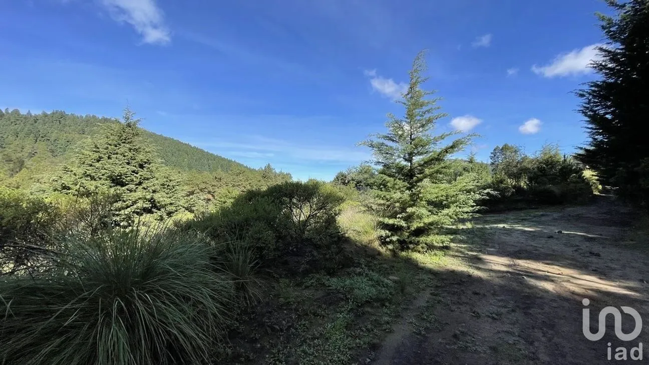 Terreno en Venta en Salazar, Lerma, Estado de México | NEX-281247 | iad México | Foto 6 de 50