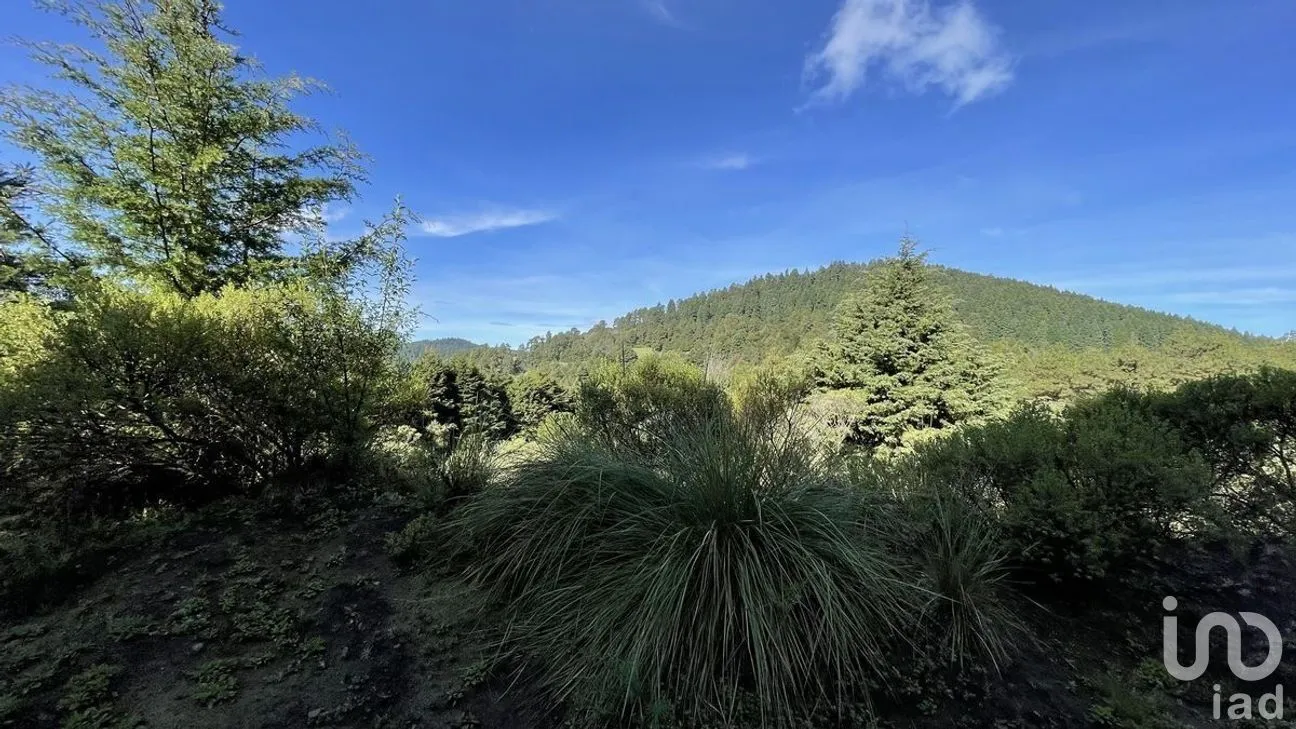 Terreno en Venta en Salazar, Lerma, Estado de México | NEX-281247 | iad México | Foto 7 de 50