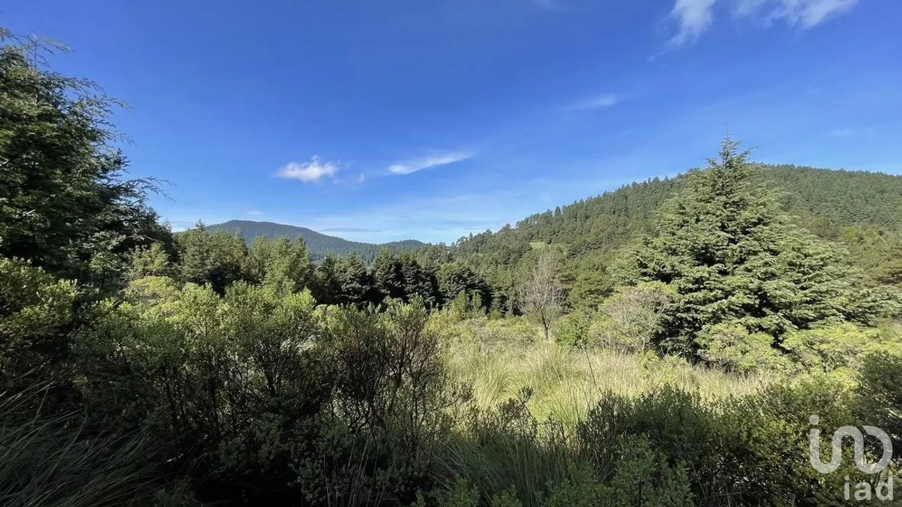 Terreno en Venta en Salazar, Lerma, Estado de México | NEX-281247 | iad México | Foto 8 de 50