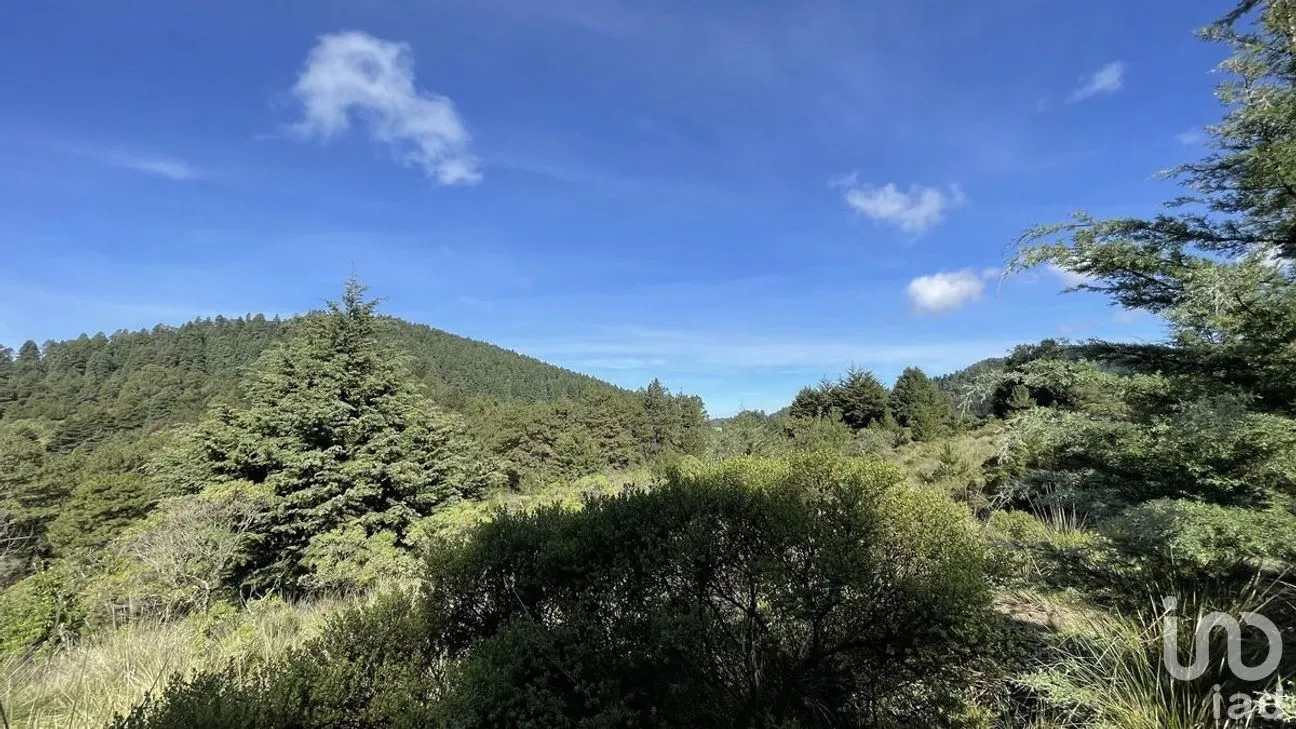 Terreno en Venta en Salazar, Lerma, Estado de México | NEX-281247 | iad México | Foto 9 de 50