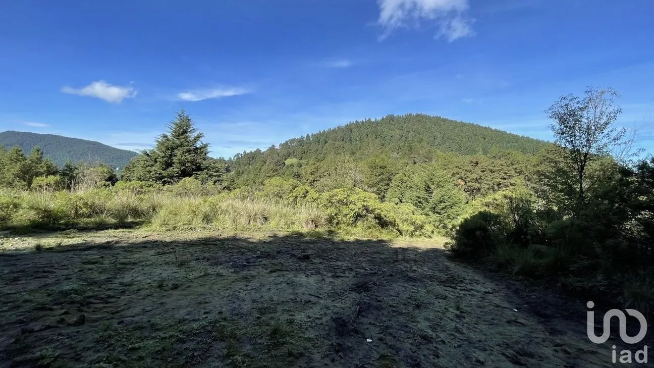 Terreno en Venta en Salazar, Lerma, Estado de México | NEX-281247 | iad México | Foto 10 de 50