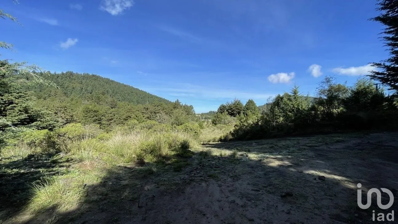 Terreno en Venta en Salazar, Lerma, Estado de México | NEX-281247 | iad México | Foto 1 de 50