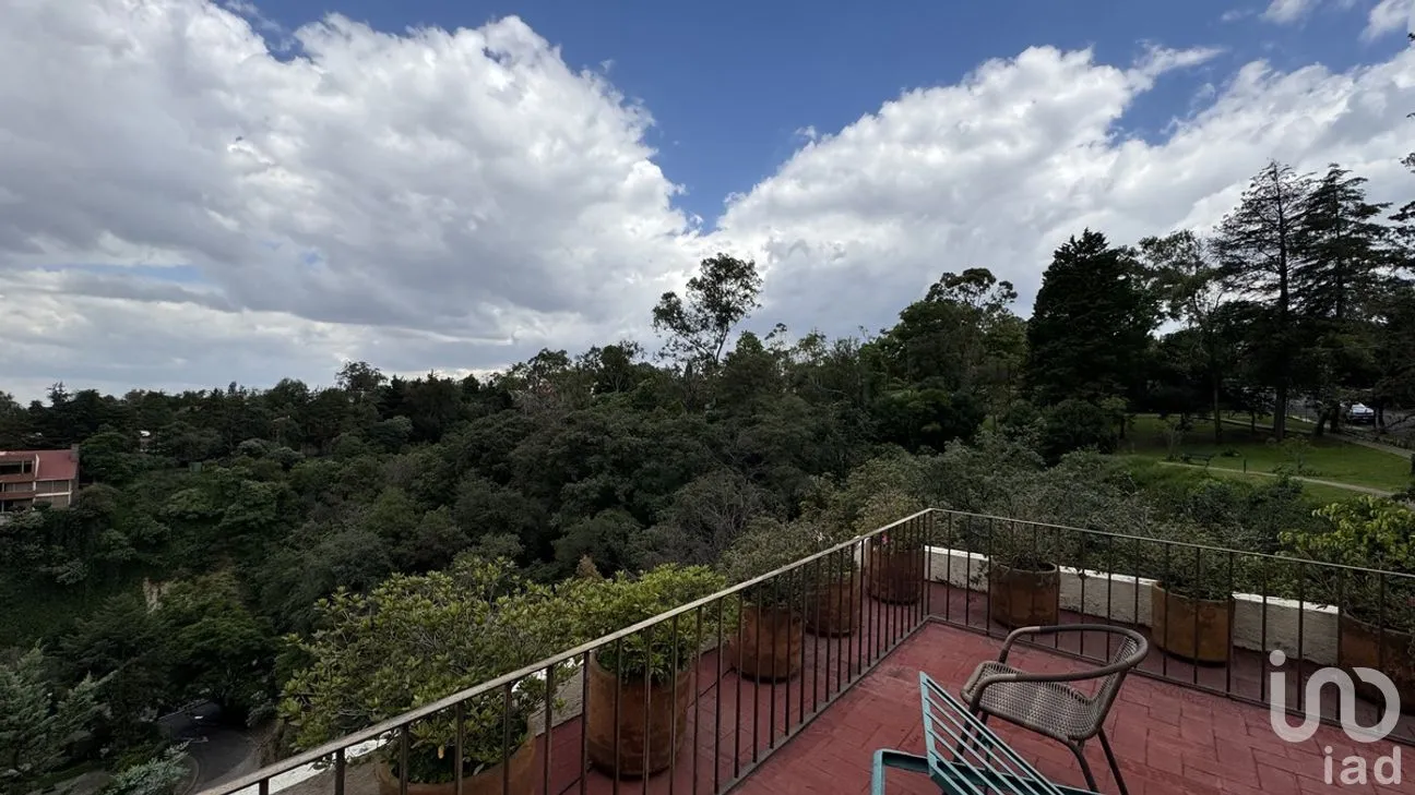 Casa en Venta en Bosque de las Lomas, Miguel Hidalgo, Ciudad de México | NEX-281267 | iad México | Foto 17 de 36