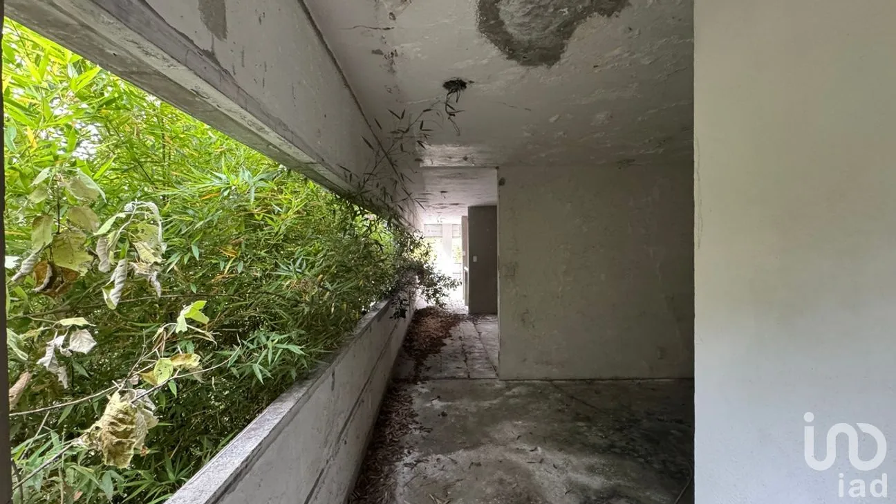 Terreno en Venta en Lomas de Bezares, Miguel Hidalgo, Ciudad de México | NEX-281285 | iad México | Foto 13 de 21
