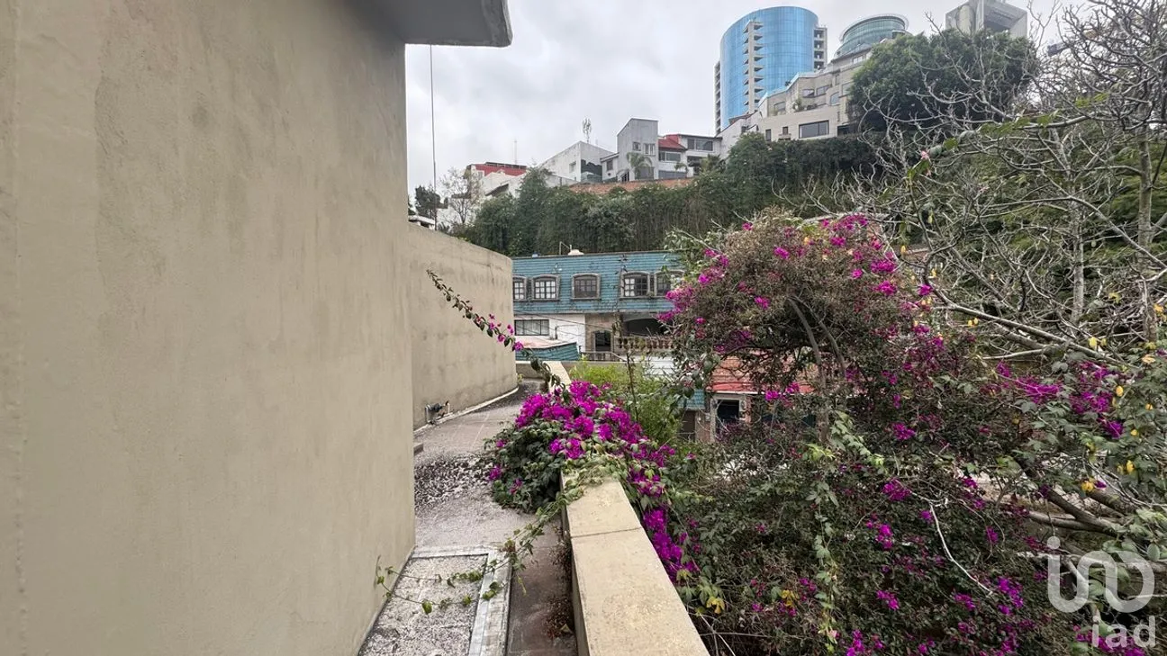 Terreno en Venta en Lomas de Bezares, Miguel Hidalgo, Ciudad de México | NEX-281285 | iad México | Foto 17 de 21
