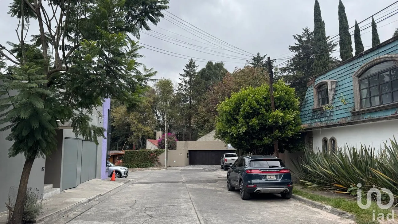 Terreno en Venta en Lomas de Bezares, Miguel Hidalgo, Ciudad de México | NEX-281285 | iad México | Foto 21 de 21