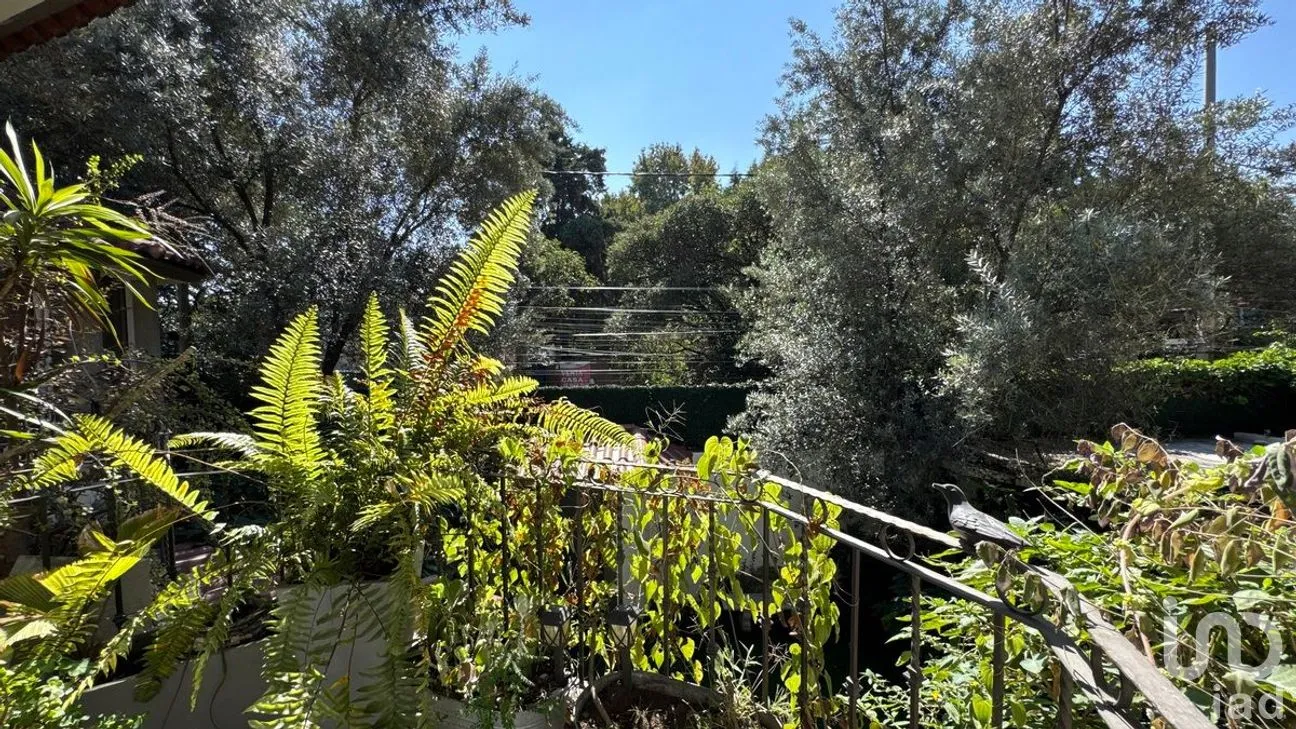 Casa en Venta en Florida, Álvaro Obregón, Ciudad de México | NEX-281966 | iad México | Foto 24 de 35