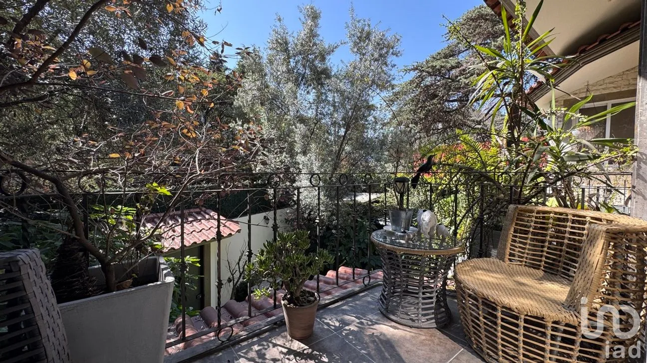 Casa en Venta en Florida, Álvaro Obregón, Ciudad de México | NEX-281966 | iad México | Foto 29 de 35