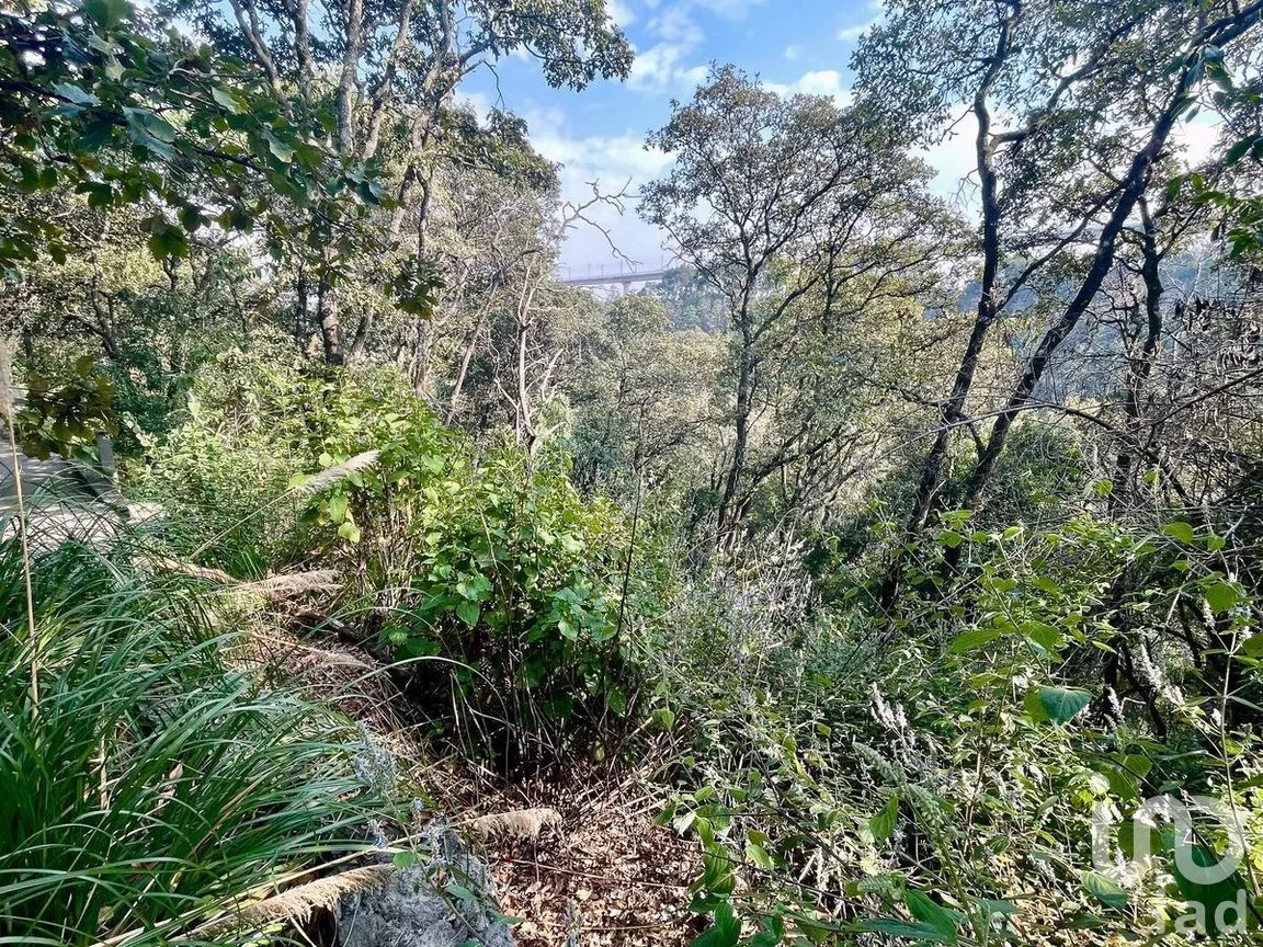 Terreno en Venta en Contadero, Cuajimalpa de Morelos, Ciudad de México | NEX-281969 | iad México | Foto 3 de 25