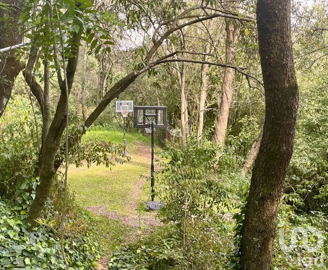 Terreno en Venta en Contadero, Cuajimalpa de Morelos, Ciudad de México | NEX-281969 | iad México | Foto 8 de 25