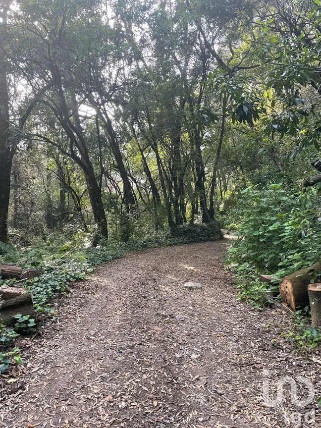 Terreno en Venta en Contadero, Cuajimalpa de Morelos, Ciudad de México | NEX-281969 | iad México | Foto 10 de 25