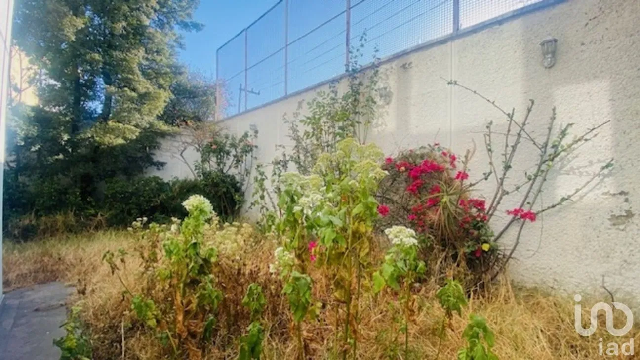 Terreno en Venta en Bosques de las Lomas, Cuajimalpa de Morelos, Ciudad de México | NEX-281971 | iad México | Foto 6 de 13