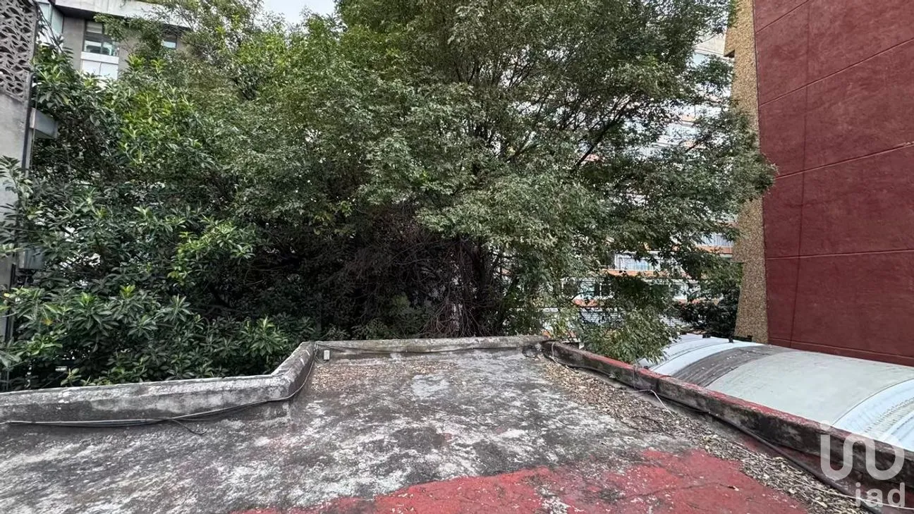 Terreno en Venta en Polanco V Sección, Miguel Hidalgo, Ciudad de México | NEX-282062 | iad México | Foto 15 de 24