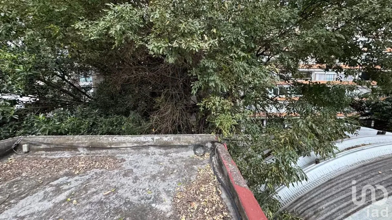 Terreno en Venta en Polanco V Sección, Miguel Hidalgo, Ciudad de México | NEX-282062 | iad México | Foto 19 de 24