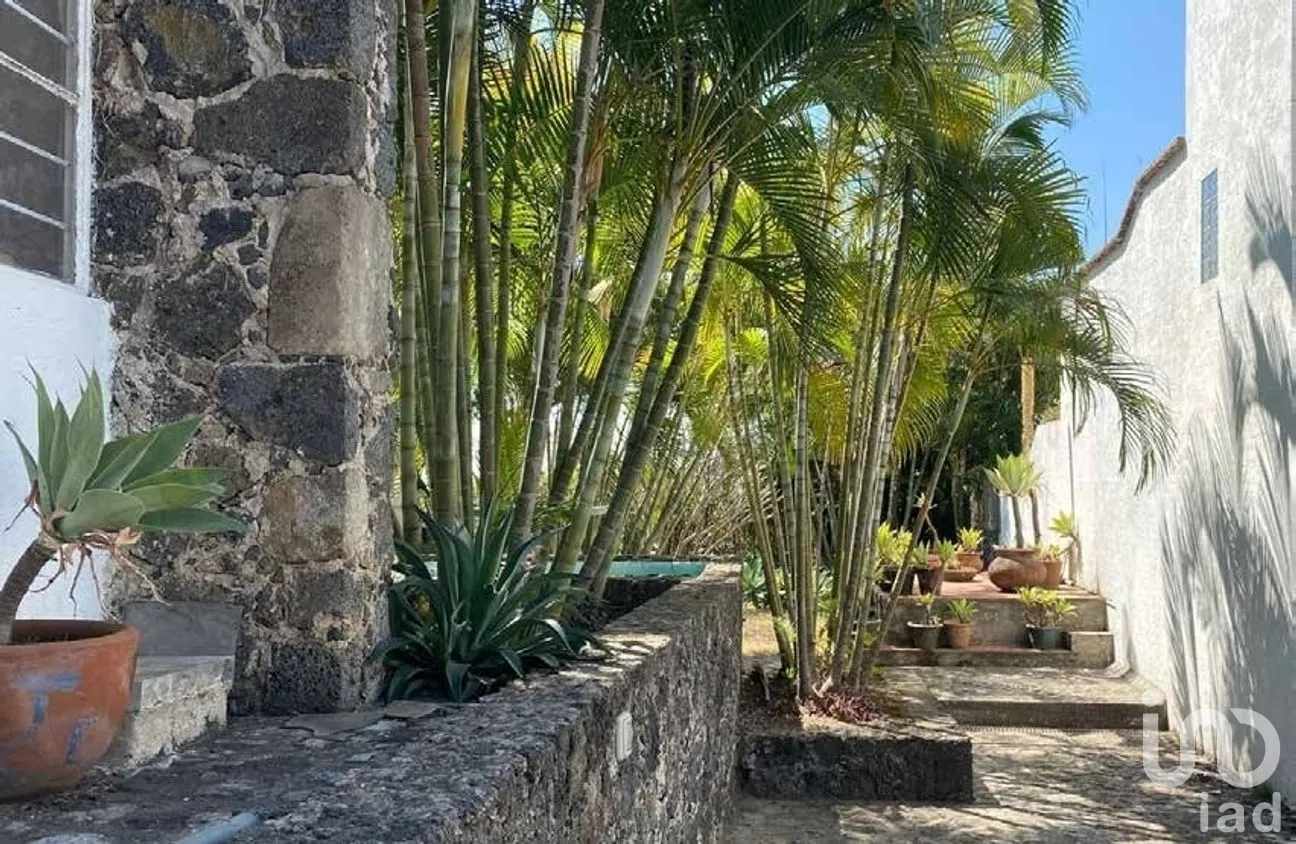 Casa en Venta en Santiago Tepetlapa, Tepoztlán, Morelos | NEX-282088 | iad México | Foto 15 de 16