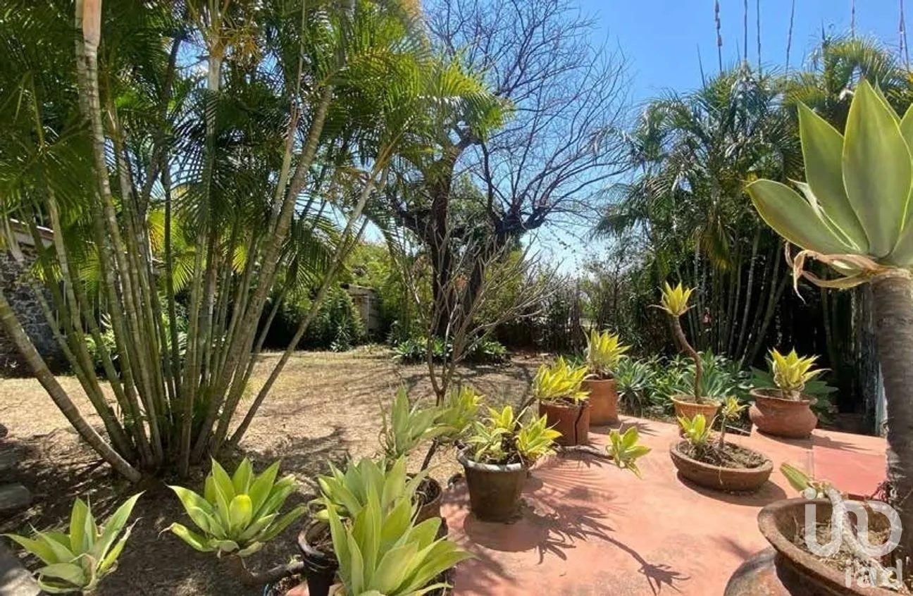 Casa en Venta en Santiago Tepetlapa, Tepoztlán, Morelos | NEX-282088 | iad México | Foto 3 de 16