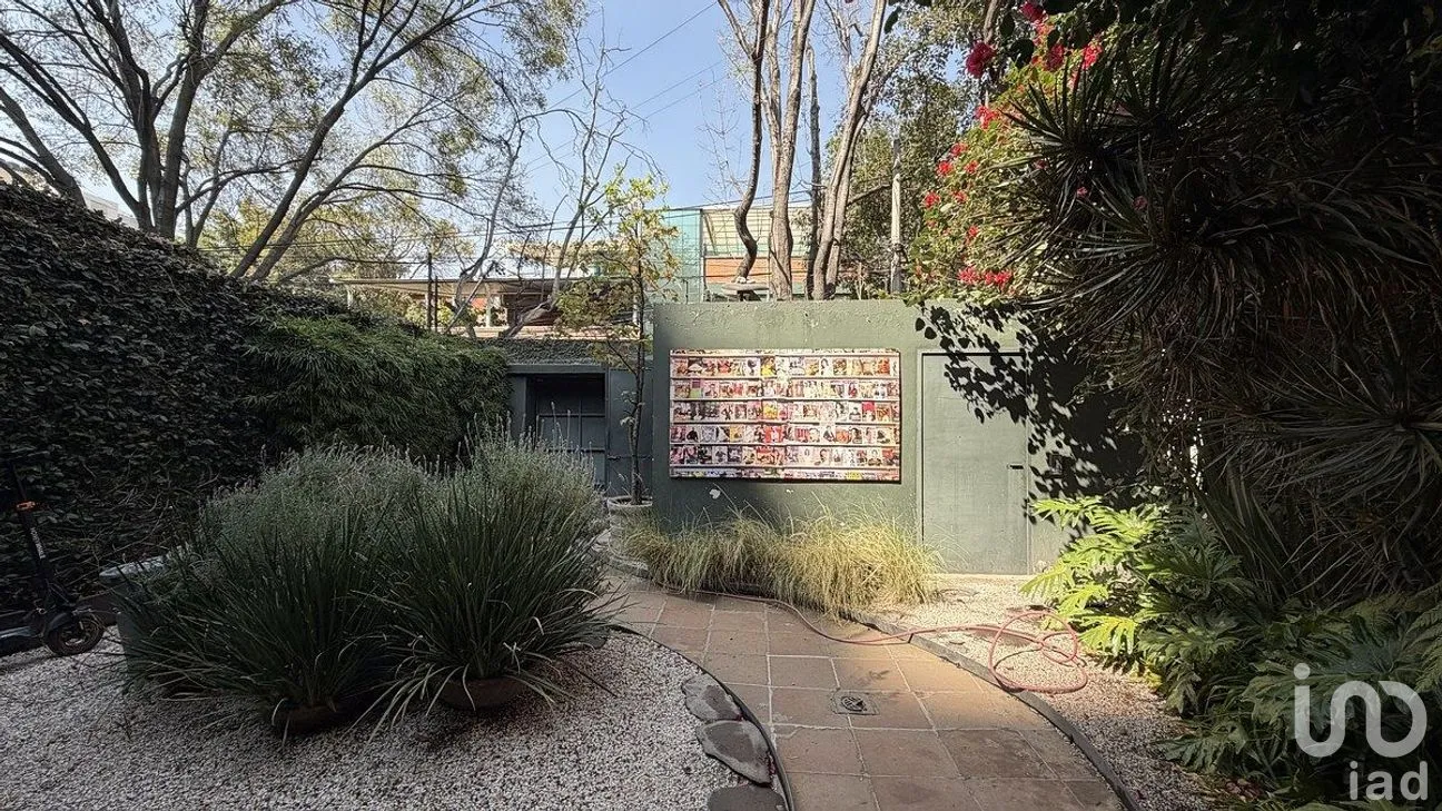 Casa en Renta en Polanco I Sección, Miguel Hidalgo, Ciudad de México | NEX-288931 | iad México | Foto 3 de 25
