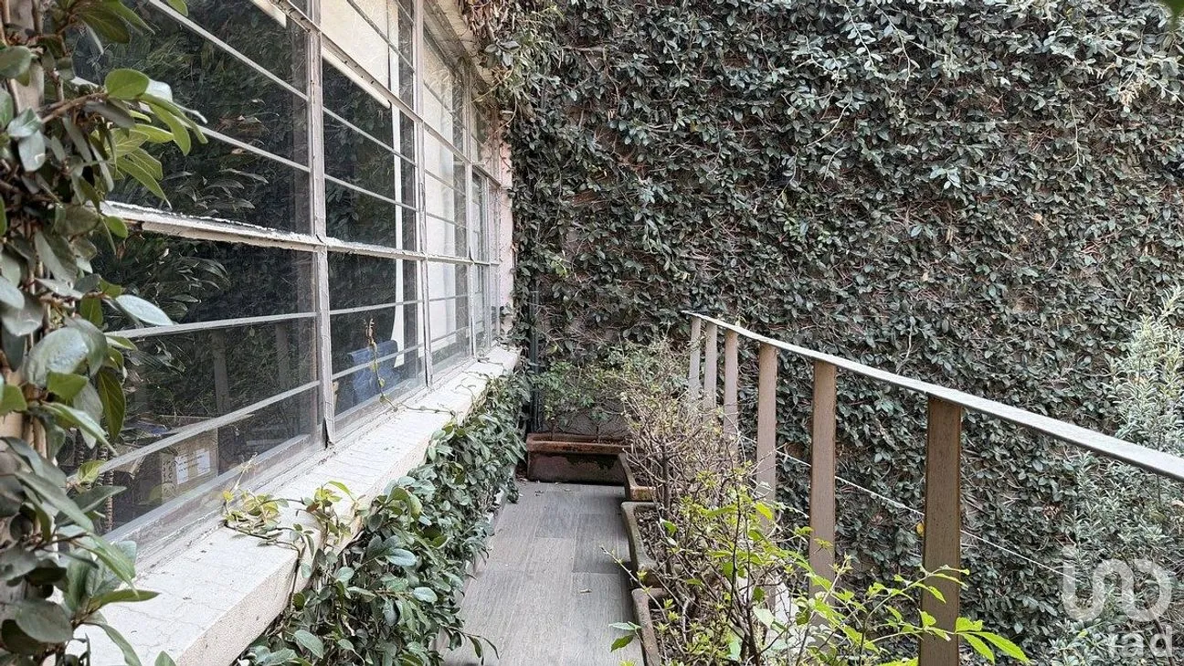 Casa en Renta en Polanco I Sección, Miguel Hidalgo, Ciudad de México | NEX-288931 | iad México | Foto 21 de 25