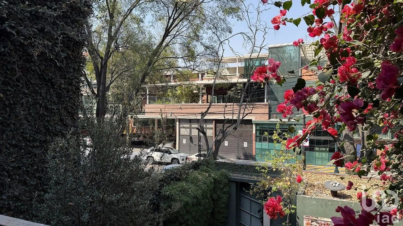 Casa en Renta en Polanco I Sección, Miguel Hidalgo, Ciudad de México | NEX-288931 | iad México | Foto 22 de 25