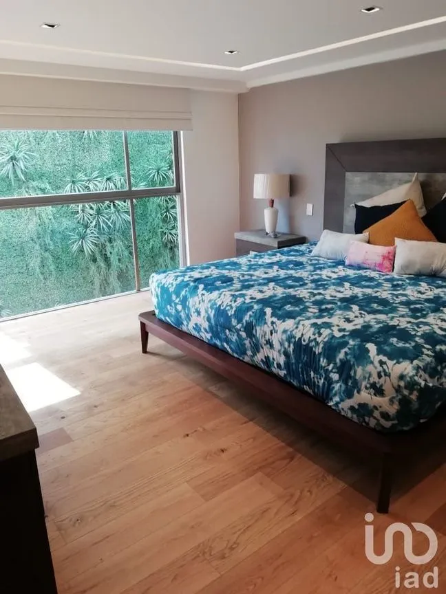 Departamento en Renta en Polanco I Sección, Miguel Hidalgo, Ciudad de México | NEX-228472 | iad México | Foto 3 de 20