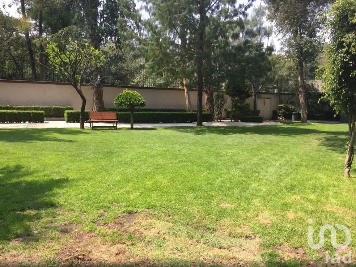 Departamento en Venta en Lomas de Chapultepec I Sección, Miguel Hidalgo, Ciudad de México | NEX-275735 | iad México | Foto 24 de 31
