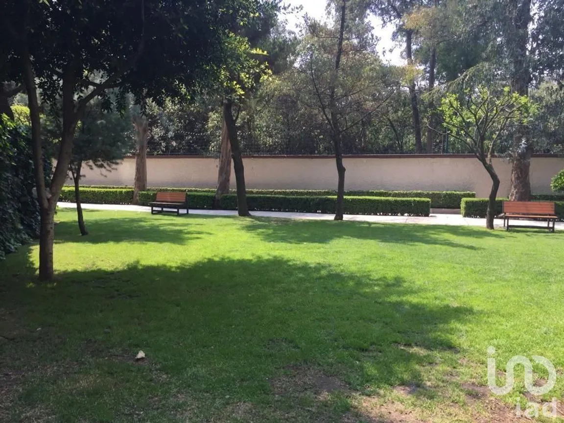Departamento en Venta en Lomas de Chapultepec I Sección, Miguel Hidalgo, Ciudad de México | NEX-275735 | iad México | Foto 26 de 31