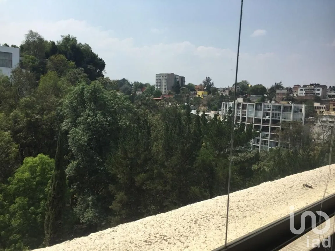 Departamento en Venta en Lomas de Chapultepec I Sección, Miguel Hidalgo, Ciudad de México | NEX-275735 | iad México | Foto 29 de 31