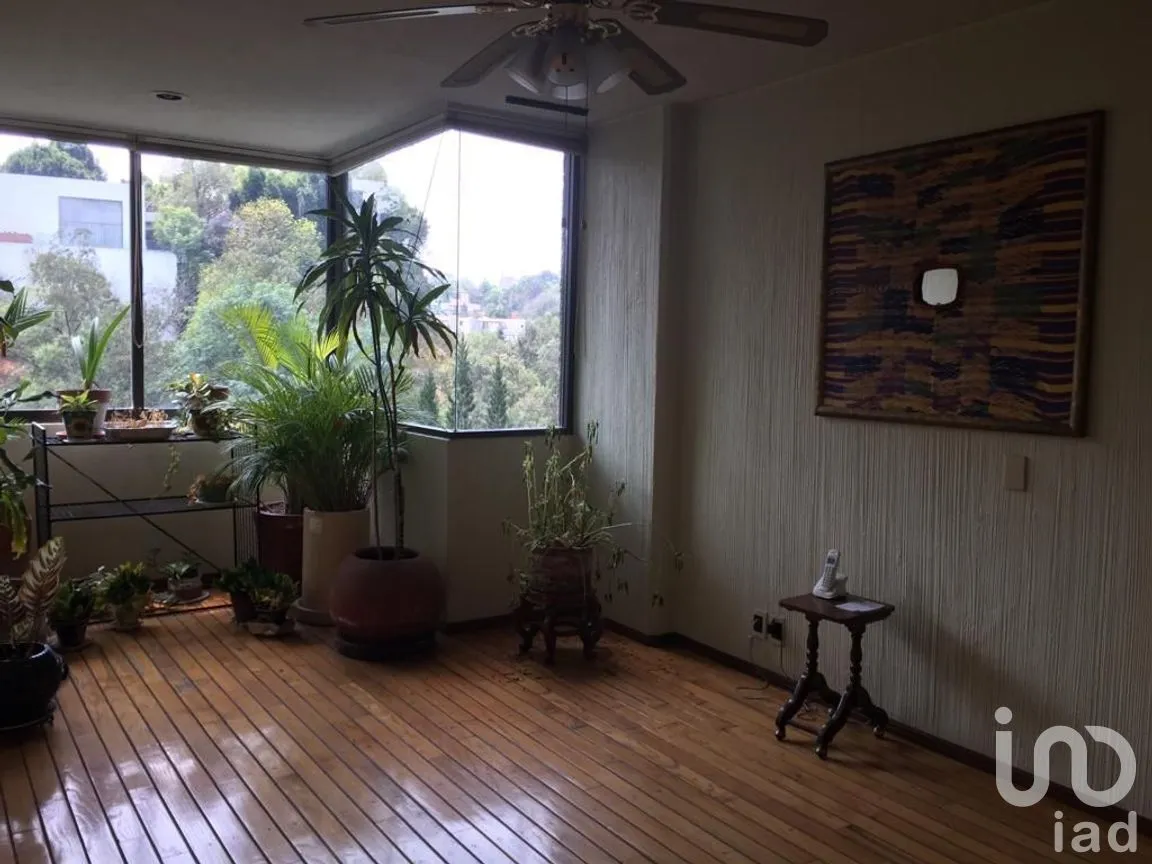 Departamento en Venta en Lomas de Chapultepec I Sección, Miguel Hidalgo, Ciudad de México | NEX-275735 | iad México | Foto 5 de 31