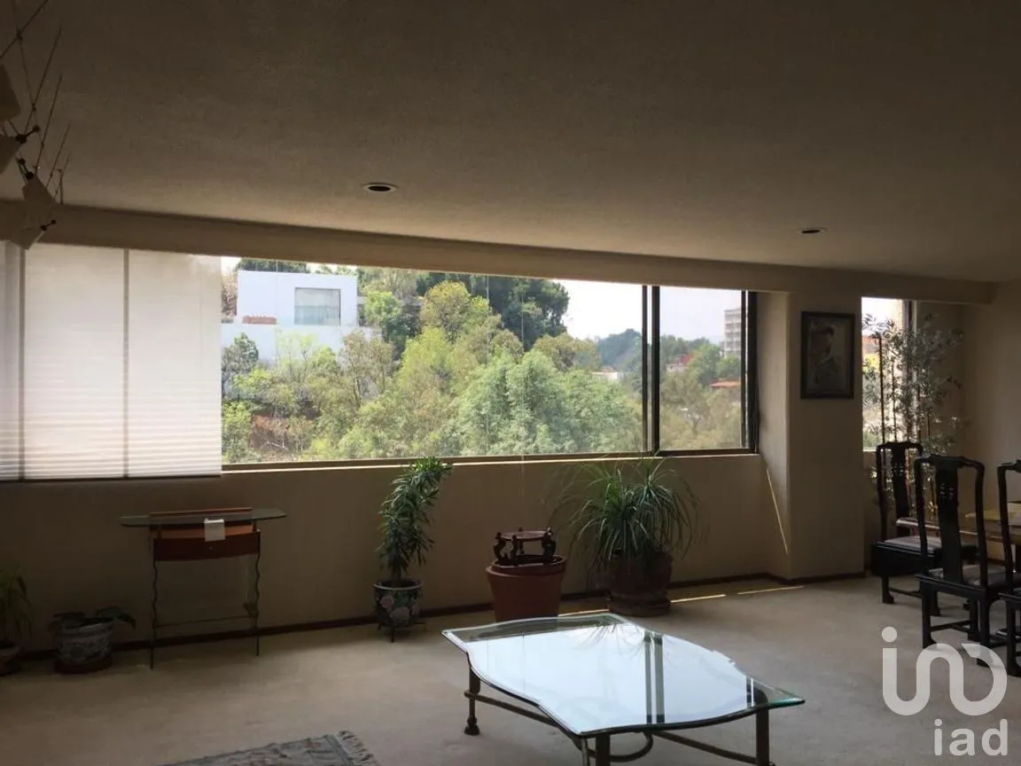 Departamento en Venta en Lomas de Chapultepec I Sección, Miguel Hidalgo, Ciudad de México | NEX-275735 | iad México | Foto 7 de 31