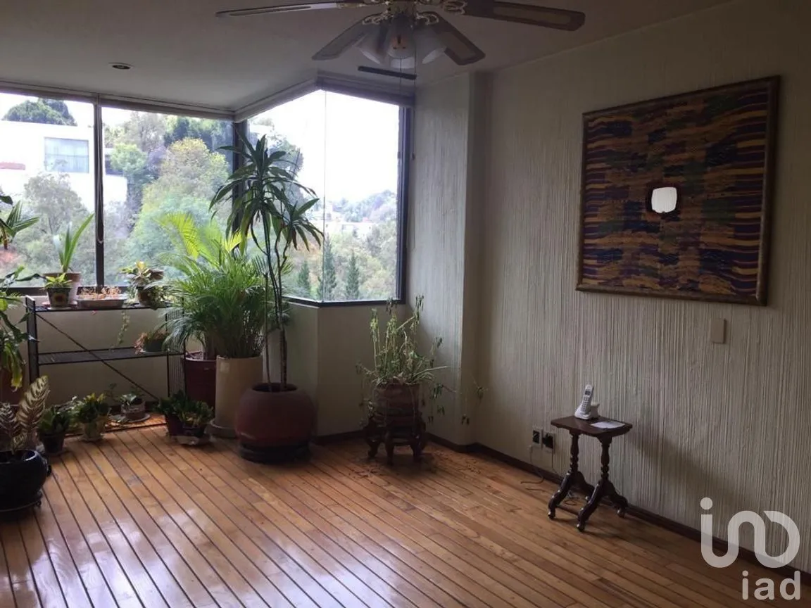 Departamento en Venta en Lomas de Chapultepec I Sección, Miguel Hidalgo, Ciudad de México | NEX-275735 | iad México | Foto 10 de 31