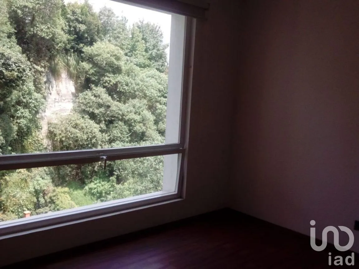 Departamento en Venta en Lomas de Bezares, Miguel Hidalgo, Ciudad de México | NEX-275760 | iad México | Foto 22 de 36