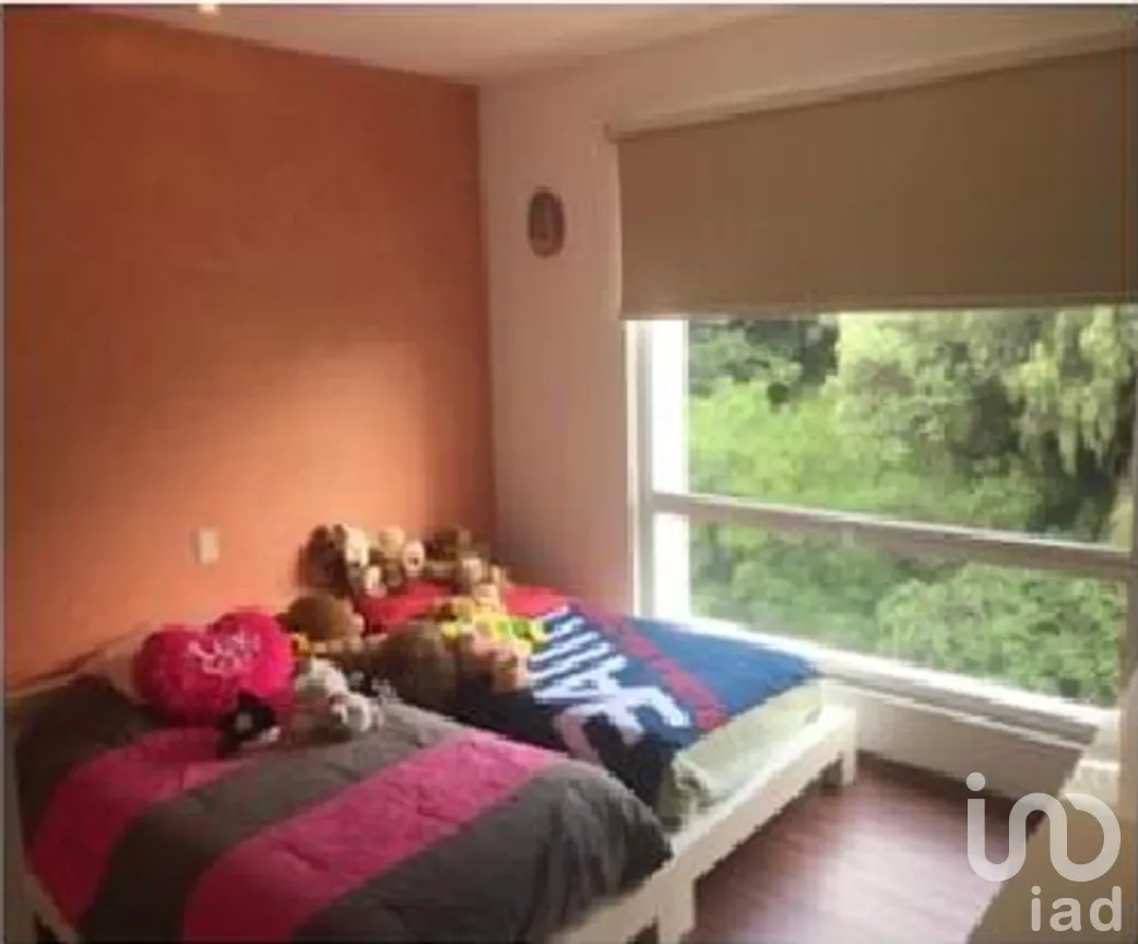 Departamento en Venta en Lomas de Bezares, Miguel Hidalgo, Ciudad de México | NEX-275760 | iad México | Foto 33 de 36