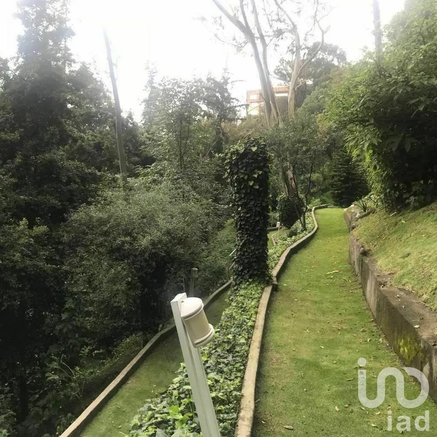 Departamento en Venta en Lomas de Chapultepec I Sección, Miguel Hidalgo, Ciudad de México | NEX-275848 | iad México | Foto 21 de 26