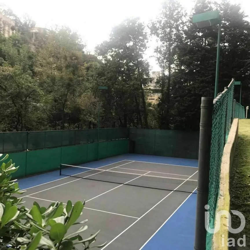 Departamento en Venta en Lomas de Chapultepec I Sección, Miguel Hidalgo, Ciudad de México | NEX-275848 | iad México | Foto 22 de 26