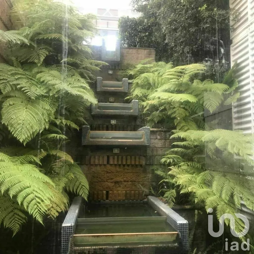 Departamento en Renta en Lomas de Chapultepec I Sección, Miguel Hidalgo, Ciudad de México | NEX-275849 | iad México | Foto 14 de 26