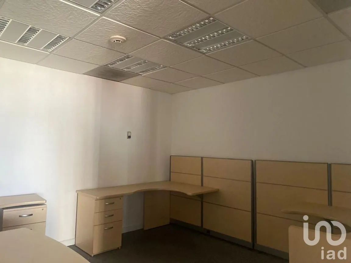 Oficina en Renta en Polanco I Sección, Miguel Hidalgo, Ciudad de México | NEX-275957 | iad México | Foto 12 de 16